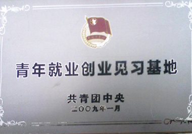 2009年1月，“青年餐廳”被“共青團中央”認證為“青年就業創業見習基地”